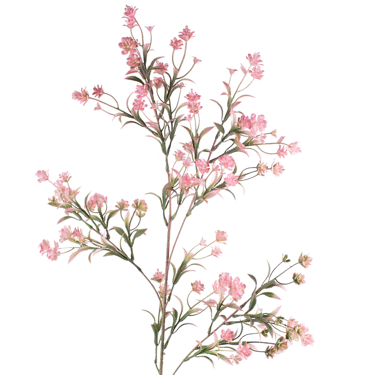 Flower chamelaucium light pink 96cm