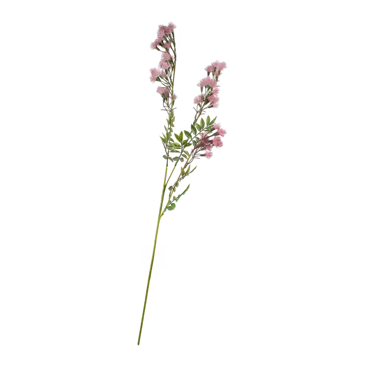 Blume Linum usitatissimum sanftes Lila 90cm