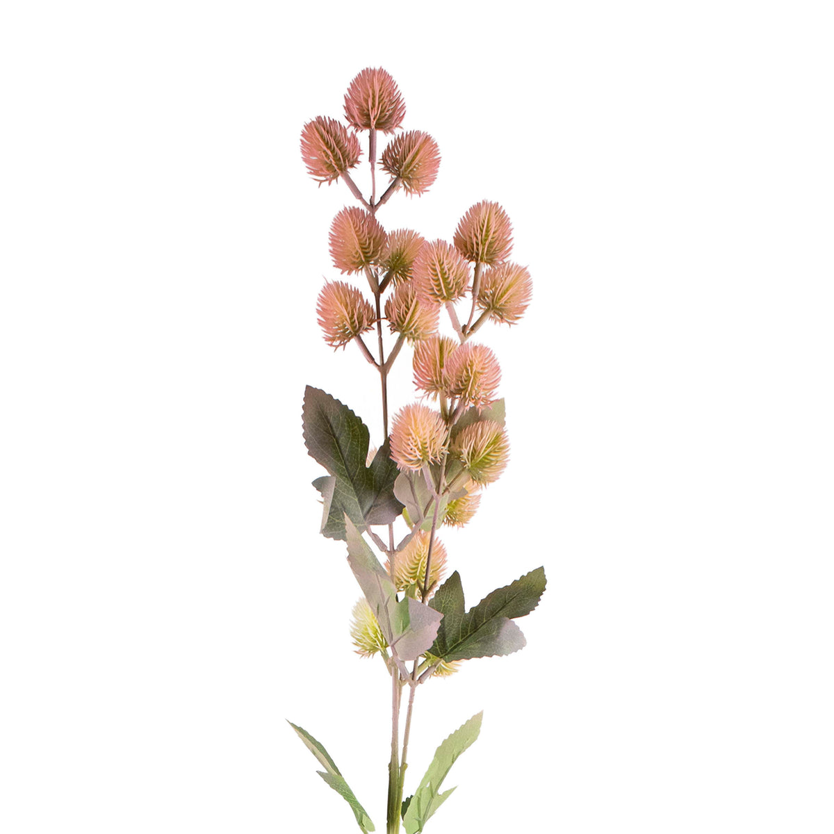 Flower thistle soft pink 90cm