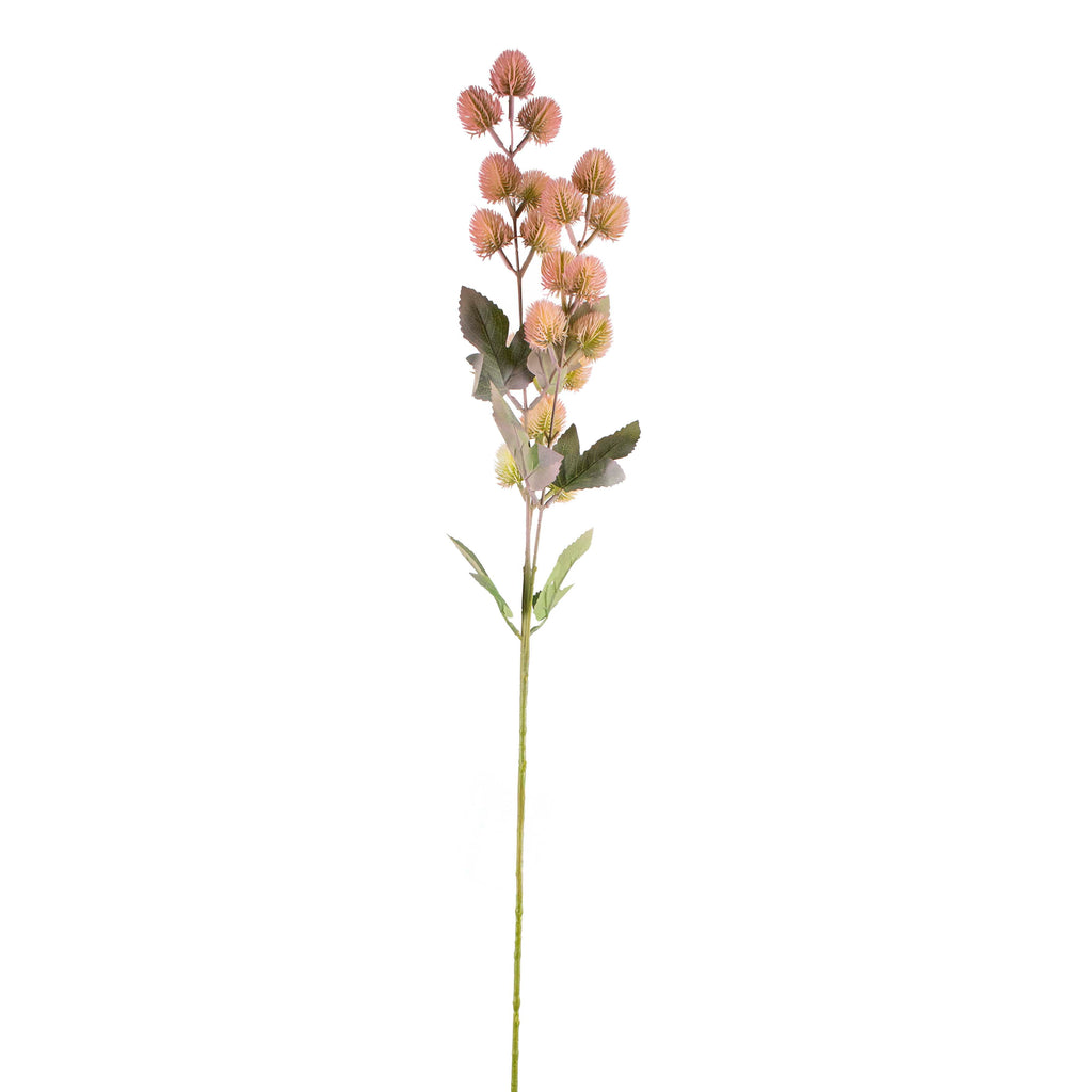 Flower thistle soft pink 90cm