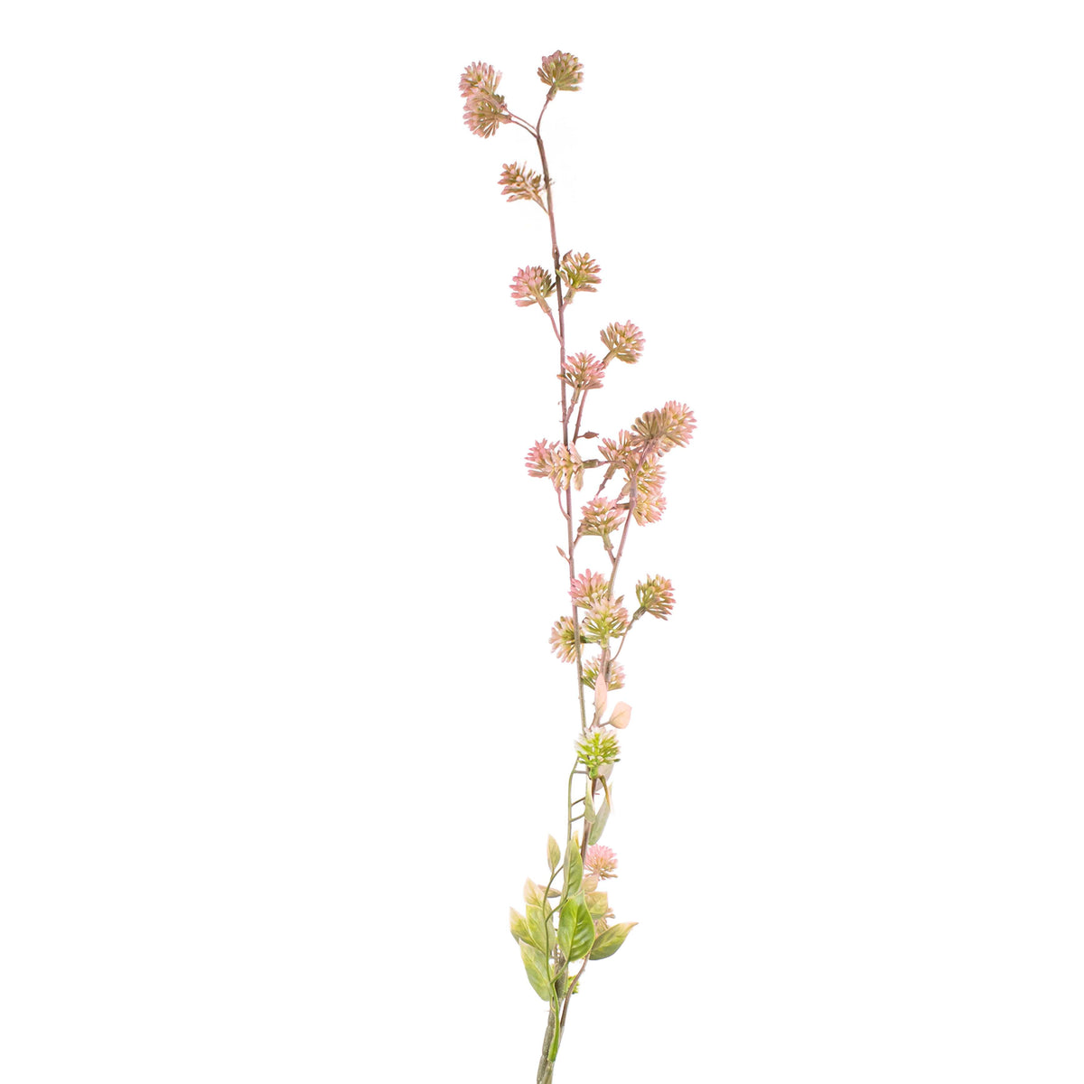 Flower sambucus soft pink 93cm