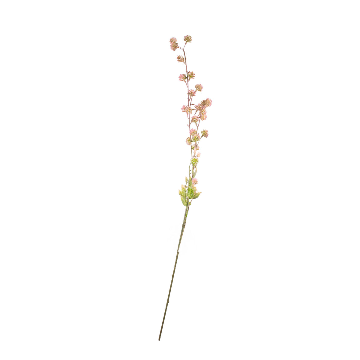 Flower sambucus soft pink 93cm
