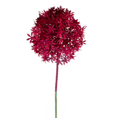 Flower allium fuchsia 75cm