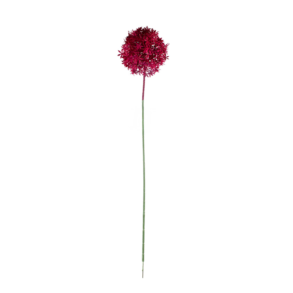 Flower allium fuchsia 75cm