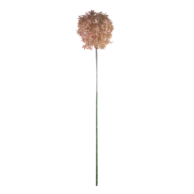 Flower allium soft pink 75cm