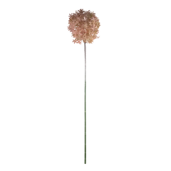 Flower allium soft pink 75cm