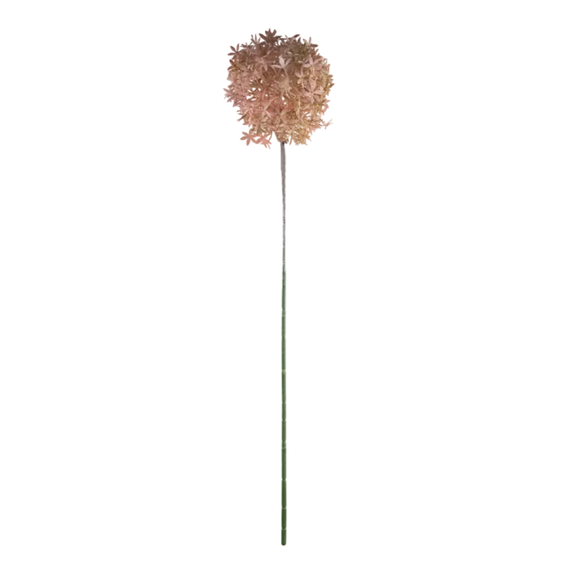 Flower allium soft pink 75cm