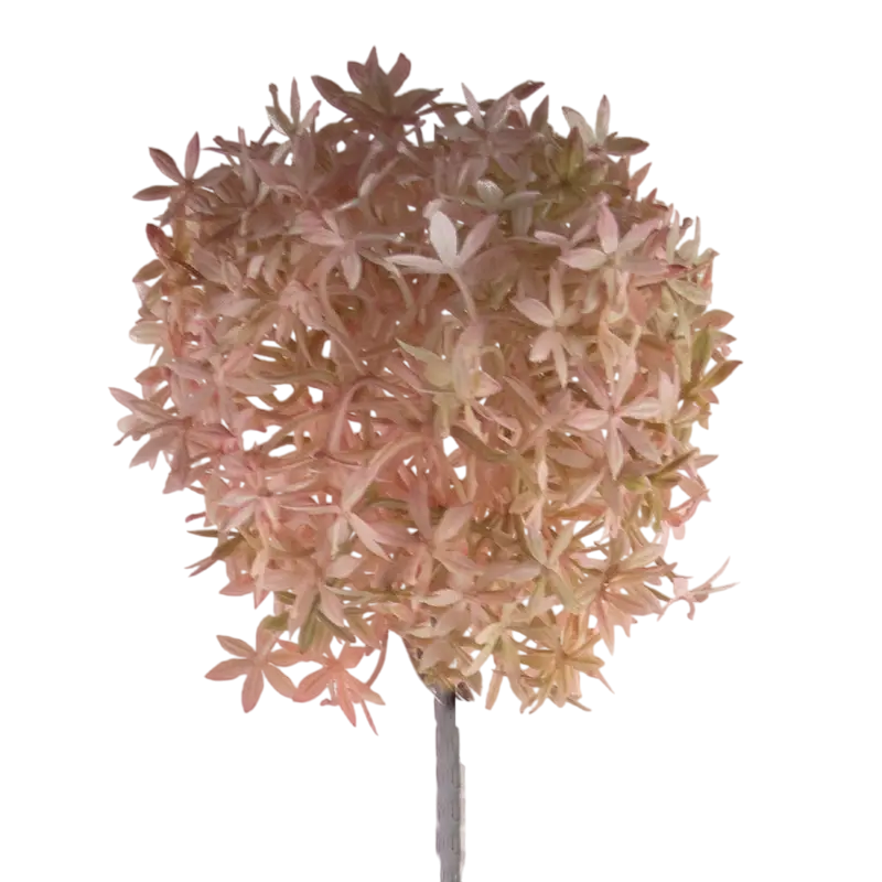 Flower allium soft pink 75cm