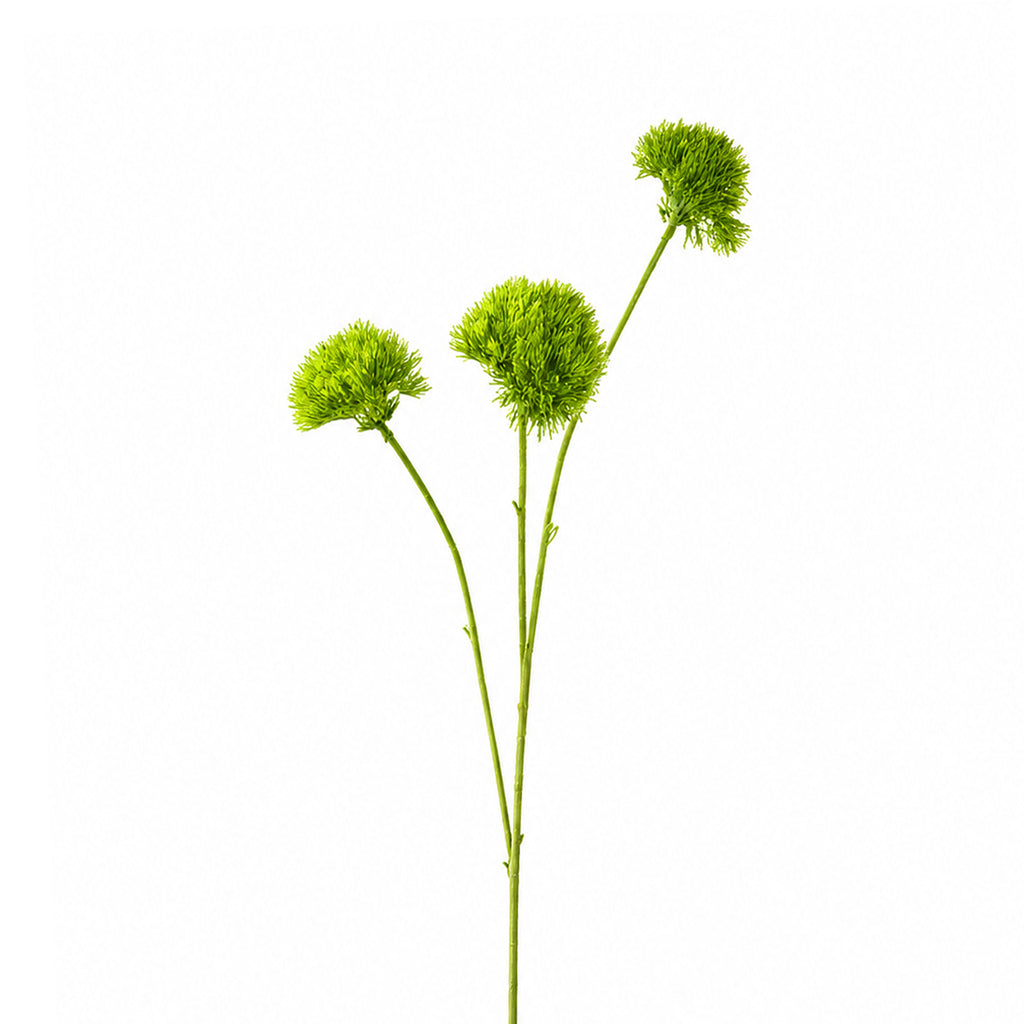Blume DIANTHUS 73cm hellgrün