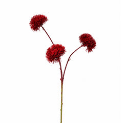 Bloem DIANTHUS 73cm rood