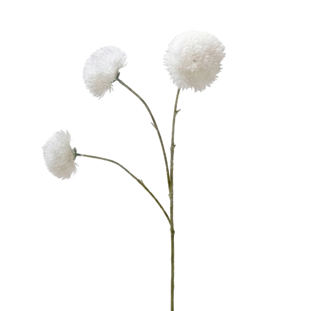 Flower DIANTHUS 73cm white