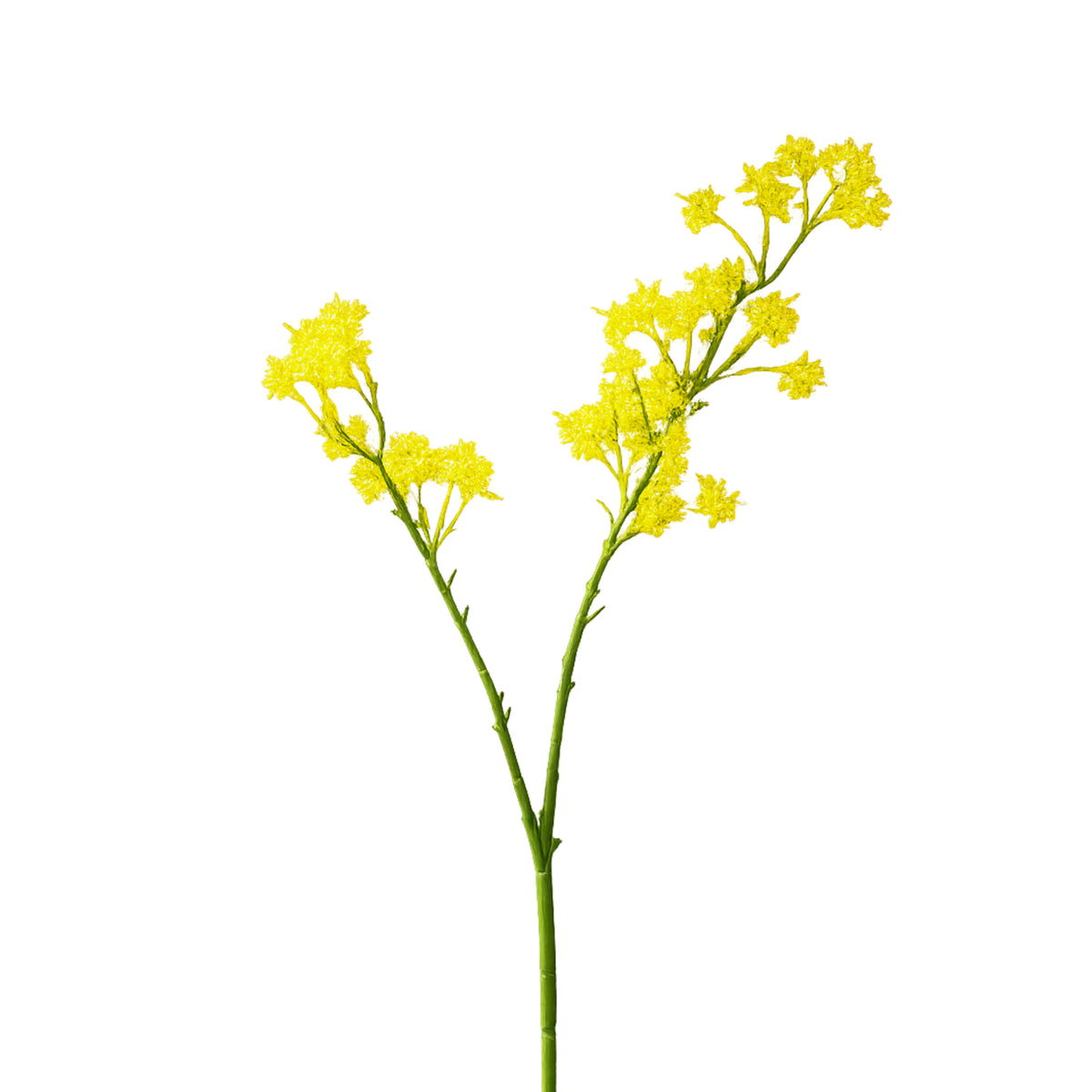 Bloem ANETHUM 72cm geel