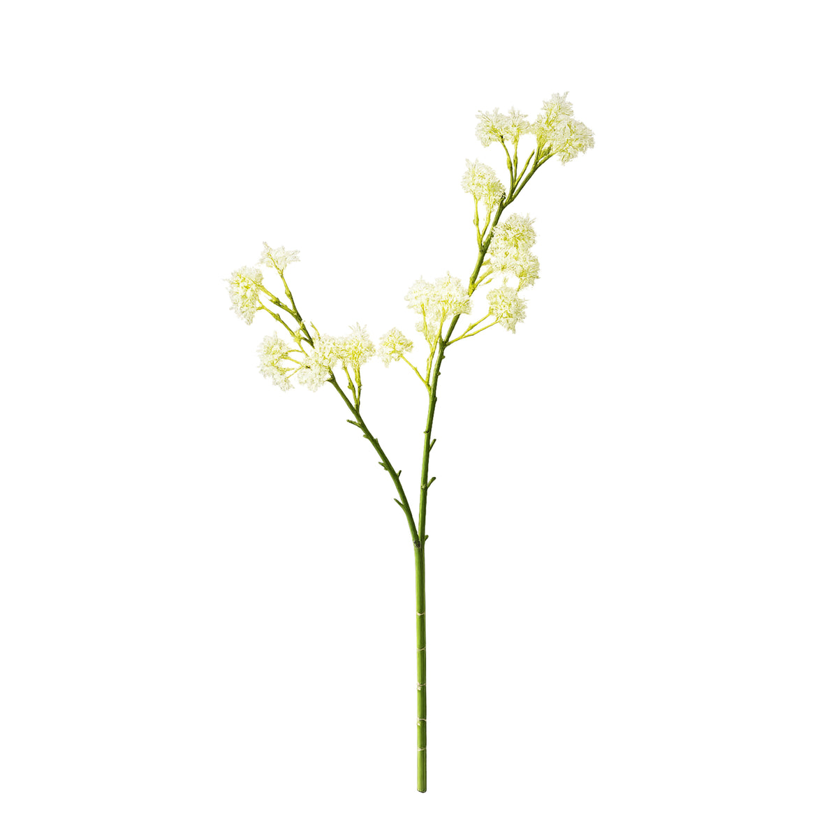 Flower ANETHUM 72cm white