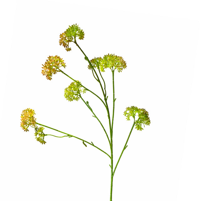 Blume HEPTACODIUM 80cm grün