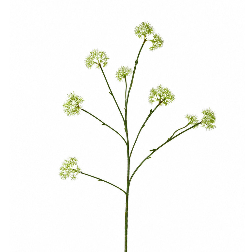 Blume HEPTACODIUM 80cm weiß