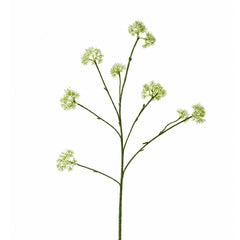 Blume HEPTACODIUM 80cm weiß