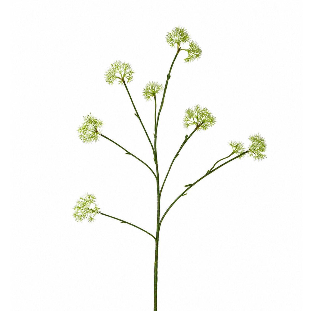 Flower HEPTACODIUM 80cm white