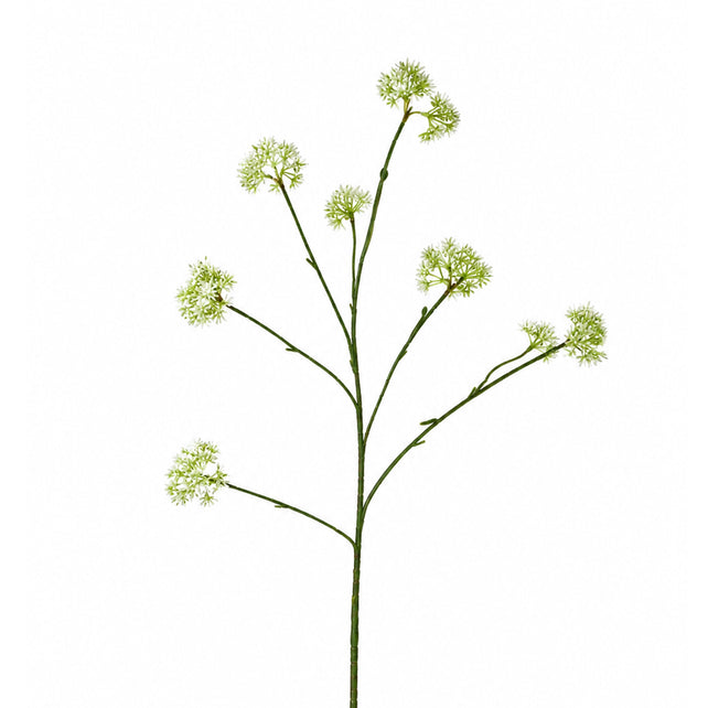 Flower HEPTACODIUM 80cm white
