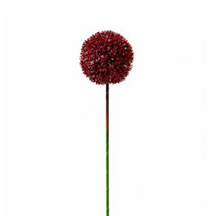 Flower ALLIUM 54cm red