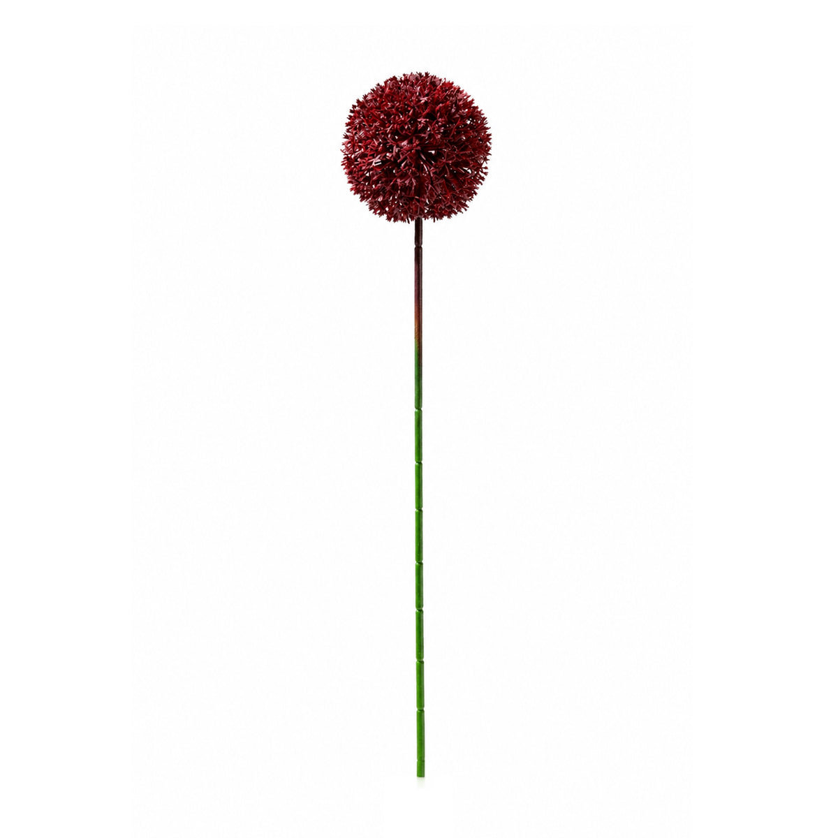Blume ALLIUM 54cm rot