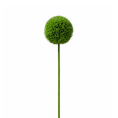 Blume ALLIUM 54cm grün