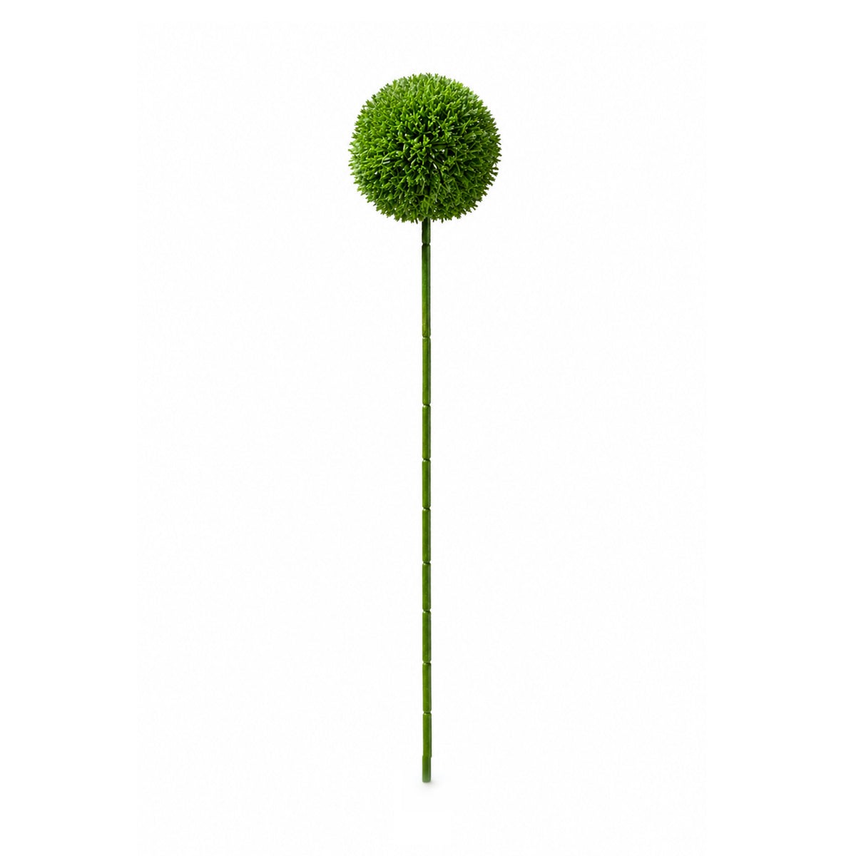 Flower ALLIUM 54cm green