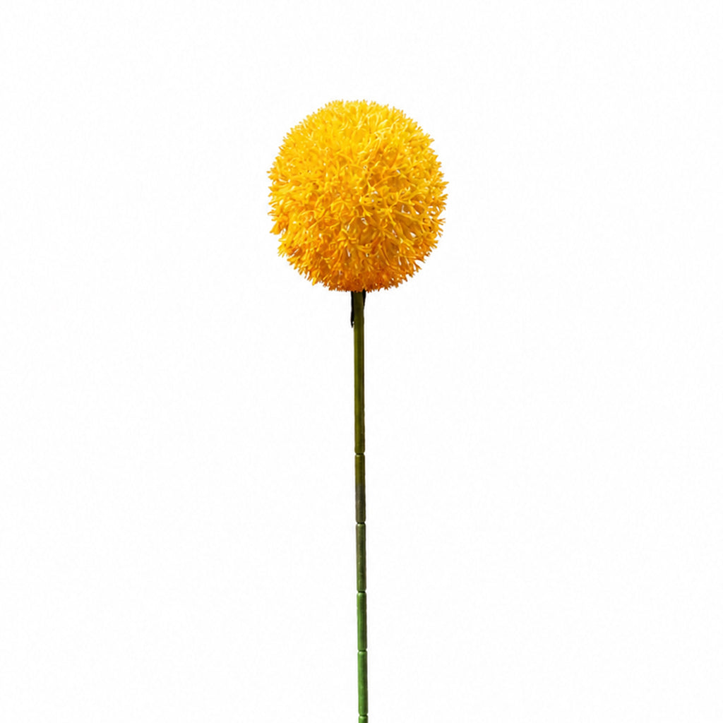 Blume ALLIUM 54cm gelb