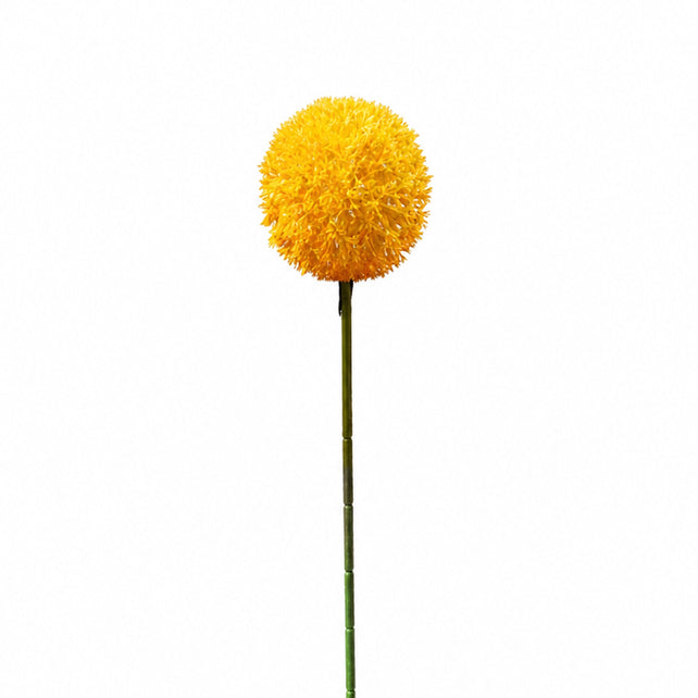 Blume ALLIUM 54cm gelb