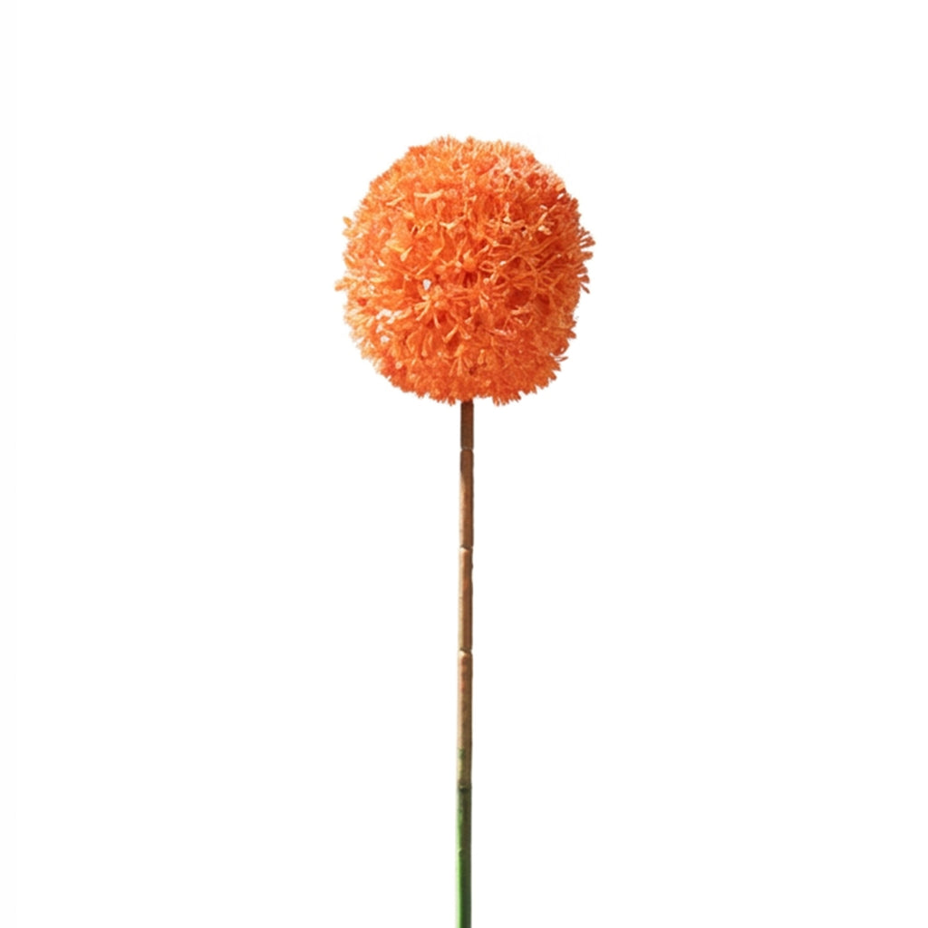 Flower ALLIUM 54cm orange