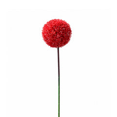 Flower ALLIUM 54cm red