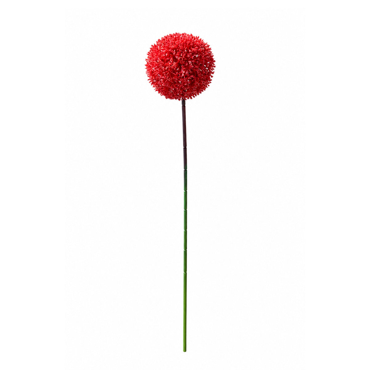 Blume ALLIUM 54cm rot