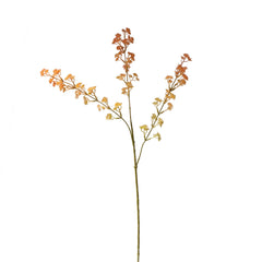 Blume ESTRELLITA 90cm orange