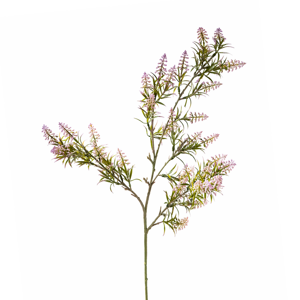Bloem SALIE 100cm paars