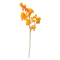 Blume WISTERIA 95cm hellorange